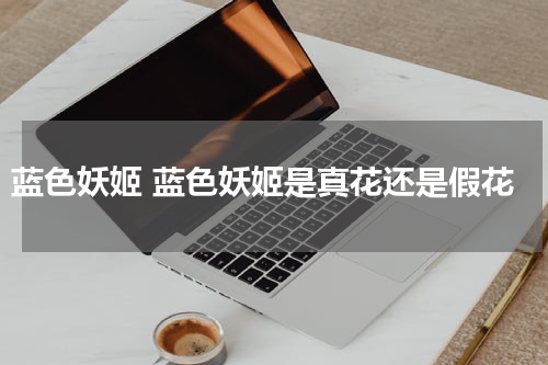 蓝色妖姬 蓝色妖姬是真花还是假花