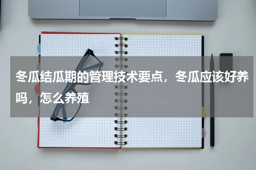 冬瓜结瓜期的管理技术要点，冬瓜应该好养吗，怎么养殖