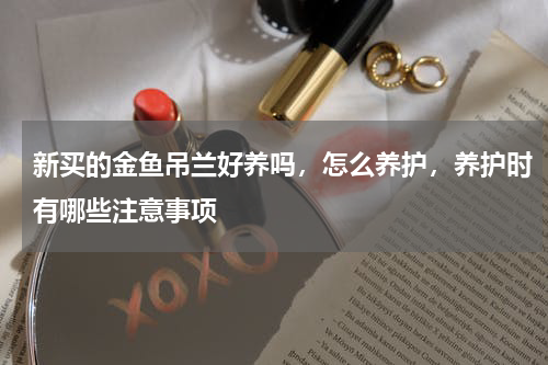 新买的金鱼吊兰好养吗，怎么养护，养护时有哪些注意事项