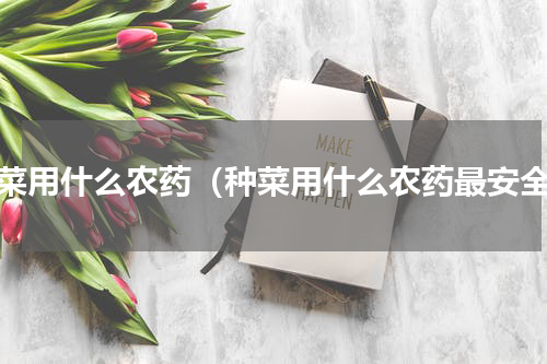 种菜用什么农药（种菜用什么农药最安全）