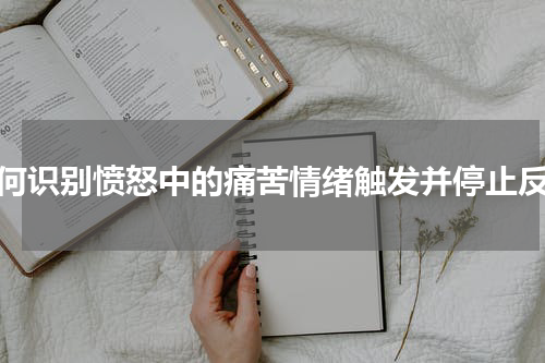 如何识别愤怒中的痛苦情绪触发并停止反应