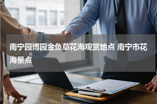 南宁园博园金鱼草花海观赏地点 南宁市花海景点