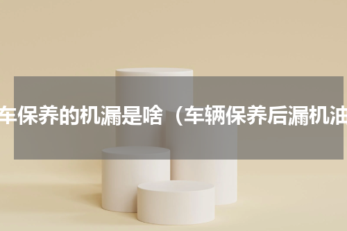 汽车保养的机漏是啥（车辆保养后漏机油）