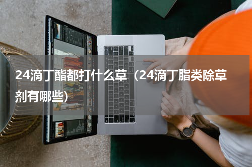 24滴丁酯都打什么草（24滴丁脂类除草剂有哪些）