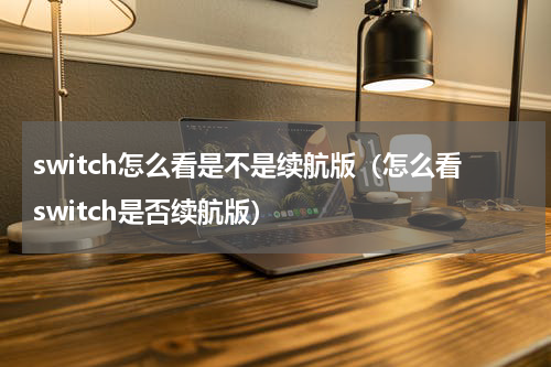 switch怎么看是不是续航版（怎么看switch是否续航版）