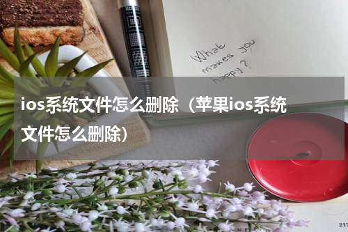 ios系统文件怎么删除（苹果ios系统文件怎么删除）