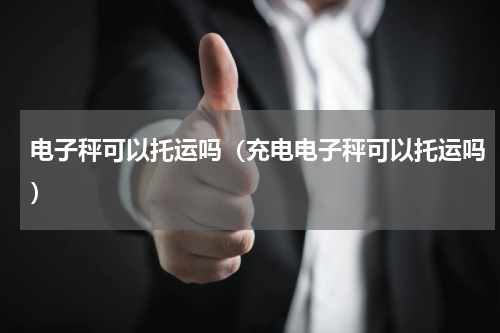 电子秤可以托运吗（充电电子秤可以托运吗）