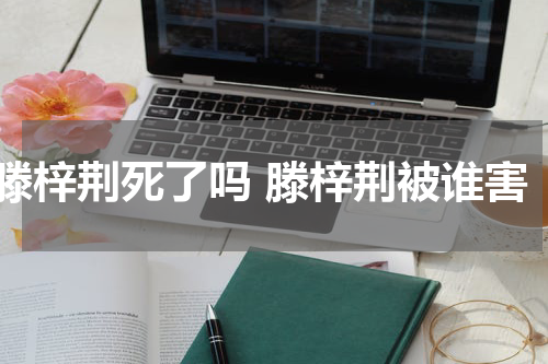 滕梓荆死了吗 滕梓荆被谁害