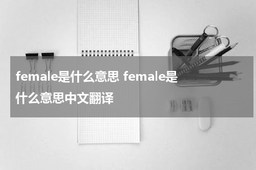 female是什么意思 female是什么意思中文翻译