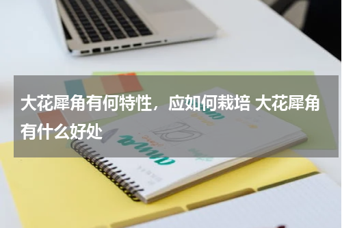 大花犀角有何特性，应如何栽培 大花犀角有什么好处