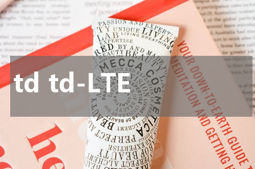 td td-LTE