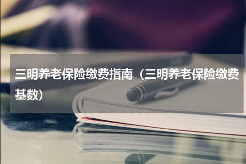 三明养老保险缴费指南（三明养老保险缴费基数）
