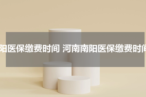 南阳医保缴费时间 河南南阳医保缴费时间