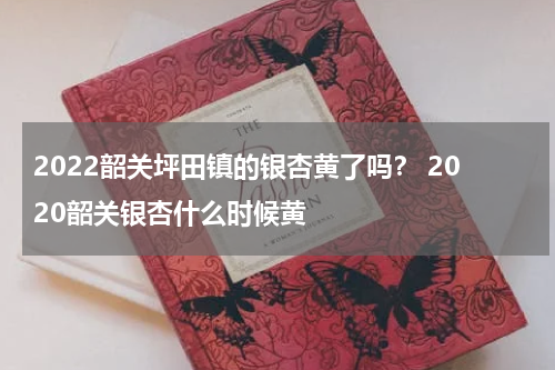 2022韶关坪田镇的银杏黄了吗？ 2020韶关银杏什么时候黄