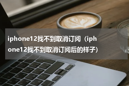 iphone12找不到取消订阅（iphone12找不到取消订阅后的样子）
