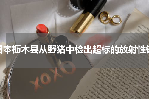 日本枥木县从野猪中检出超标的放射性铯