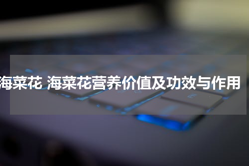 海菜花 海菜花营养价值及功效与作用