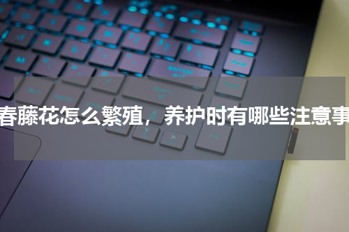 长春藤花怎么繁殖，养护时有哪些注意事项