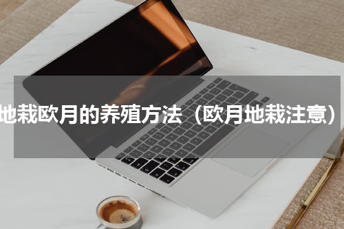 地栽欧月的养殖方法（欧月地栽注意）