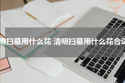 清明扫墓用什么花 清明扫墓用什么花合适