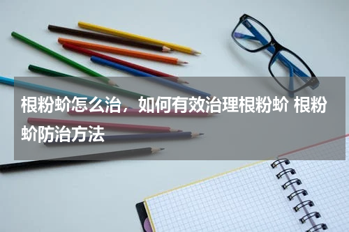 根粉蚧怎么治，如何有效治理根粉蚧 根粉蚧防治方法