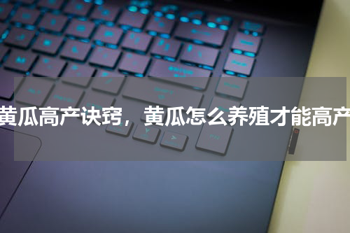 黄瓜高产诀窍，黄瓜怎么养殖才能高产