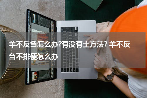 羊不反刍怎么办?有没有土方法? 羊不反刍不排便怎么办