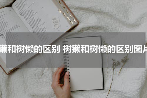 树獭和树懒的区别 树獭和树懒的区别图片