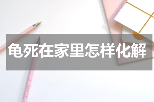 龟死在家里怎样化解