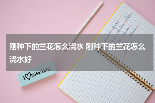 刚种下的兰花怎么浇水 刚种下的兰花怎么浇水好