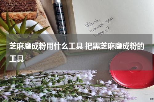 芝麻磨成粉用什么工具 把黑芝麻磨成粉的工具