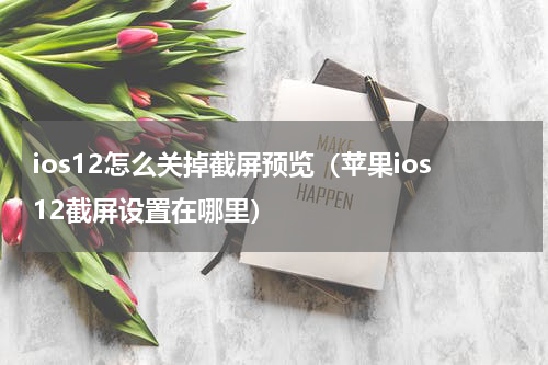 ios12怎么关掉截屏预览（苹果ios12截屏设置在哪里）