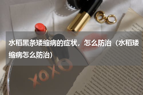 水稻黑条矮缩病的症状，怎么防治（水稻矮缩病怎么防治）