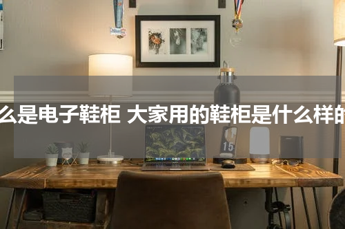 什么是电子鞋柜 大家用的鞋柜是什么样的