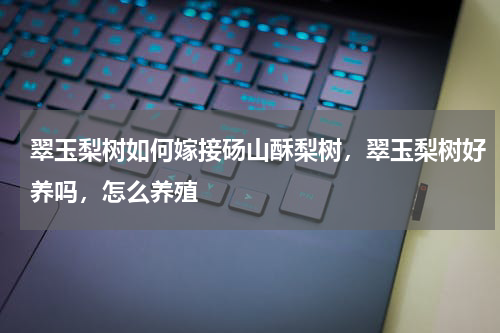 翠玉梨树如何嫁接砀山酥梨树，翠玉梨树好养吗，怎么养殖