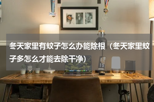 冬天家里有蚊子怎么办能除根（冬天家里蚊子多怎么才能去除干净）