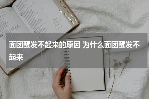 面团醒发不起来的原因 为什么面团醒发不起来