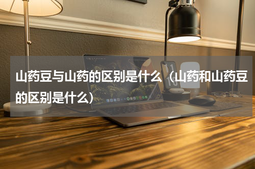 山药豆与山药的区别是什么（山药和山药豆的区别是什么）
