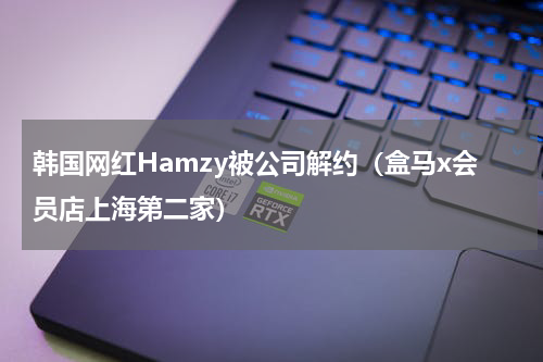 韩国网红Hamzy被公司解约（盒马x会员店上海第二家）