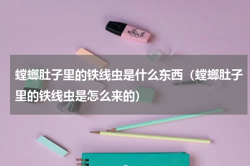 螳螂肚子里的铁线虫是什么东西（螳螂肚子里的铁线虫是怎么来的）