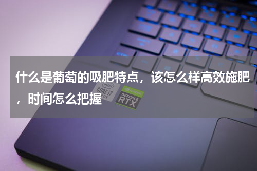 什么是葡萄的吸肥特点，该怎么样高效施肥，时间怎么把握