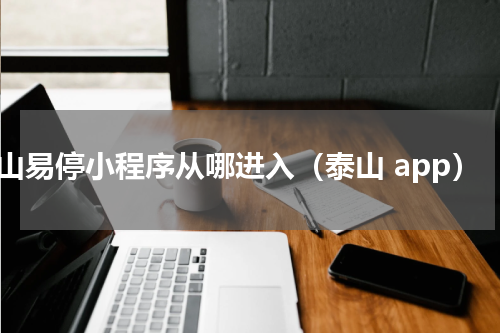 泰山易停小程序从哪进入（泰山 app）