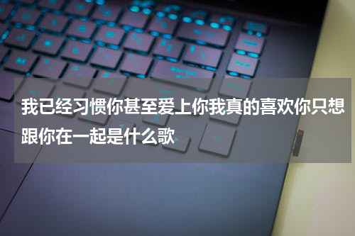 我已经习惯你甚至爱上你我真的喜欢你只想跟你在一起是什么歌
