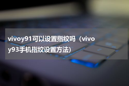 vivoy91可以设置指纹吗（vivoy93手机指纹设置方法）