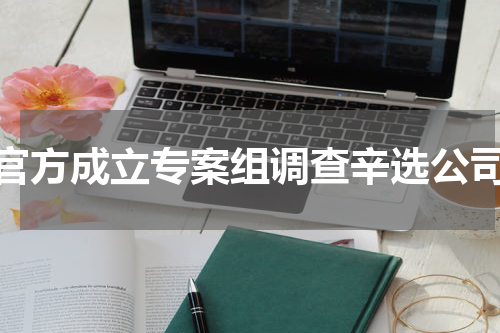 官方成立专案组调查辛选公司