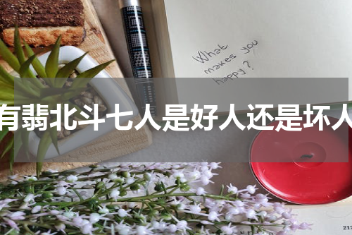 有翡北斗七人是好人还是坏人