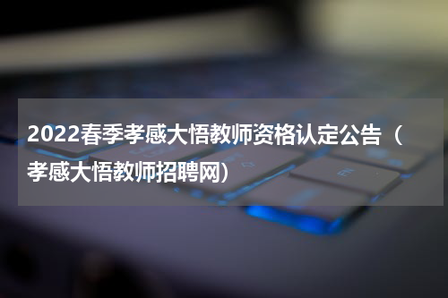 2022春季孝感大悟教师资格认定公告（孝感大悟教师招聘网）
