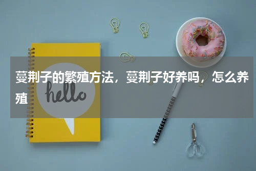蔓荆子的繁殖方法，蔓荆子好养吗，怎么养殖