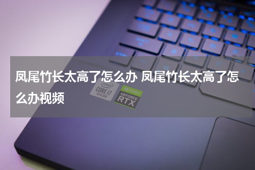 凤尾竹长太高了怎么办 凤尾竹长太高了怎么办视频