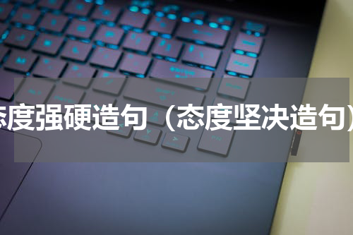 态度强硬造句（态度坚决造句）
